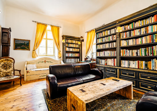 Dvojizbový apartmán s kuchyňou a knižnicou